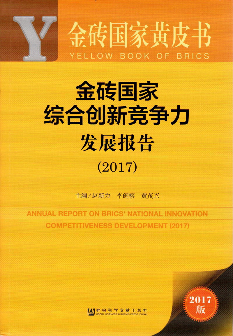 把把鸡鸡捅进逼里的视频金砖国家综合创新竞争力发展报告（2017）